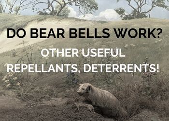 Do Bear Bells Work? & Other Useful Repellants, Deterrents!